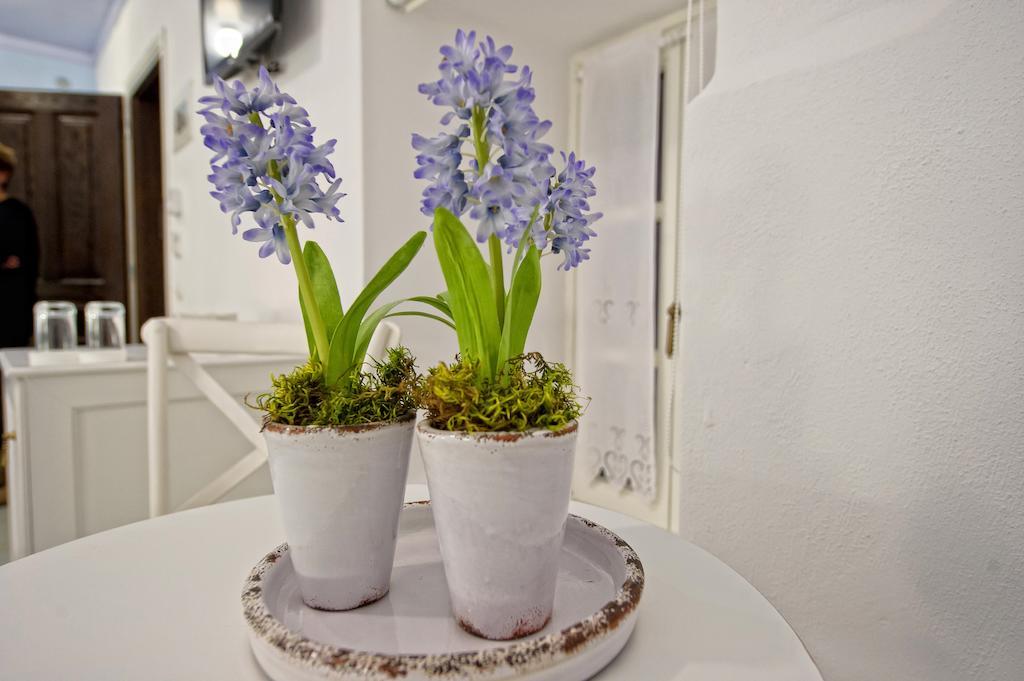 Orologopoulos Mansion Luxury Hotel Kastoria Phòng bức ảnh